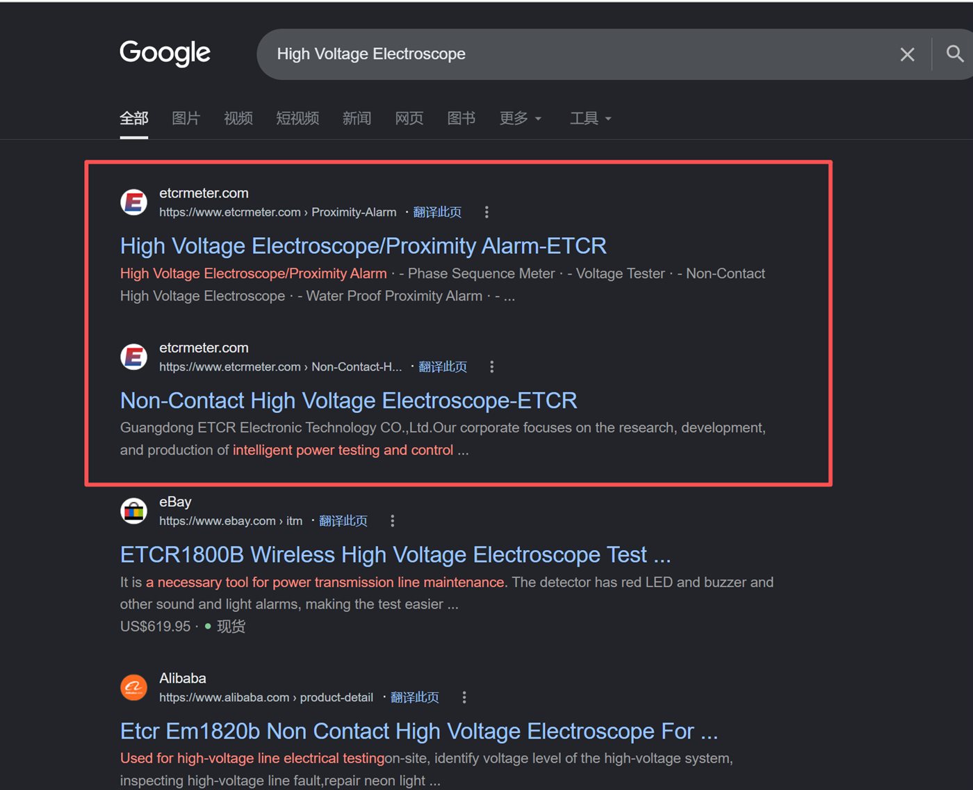 Google results for "High Voltage Electroscope" showing two etrcmeter.com pages at the top